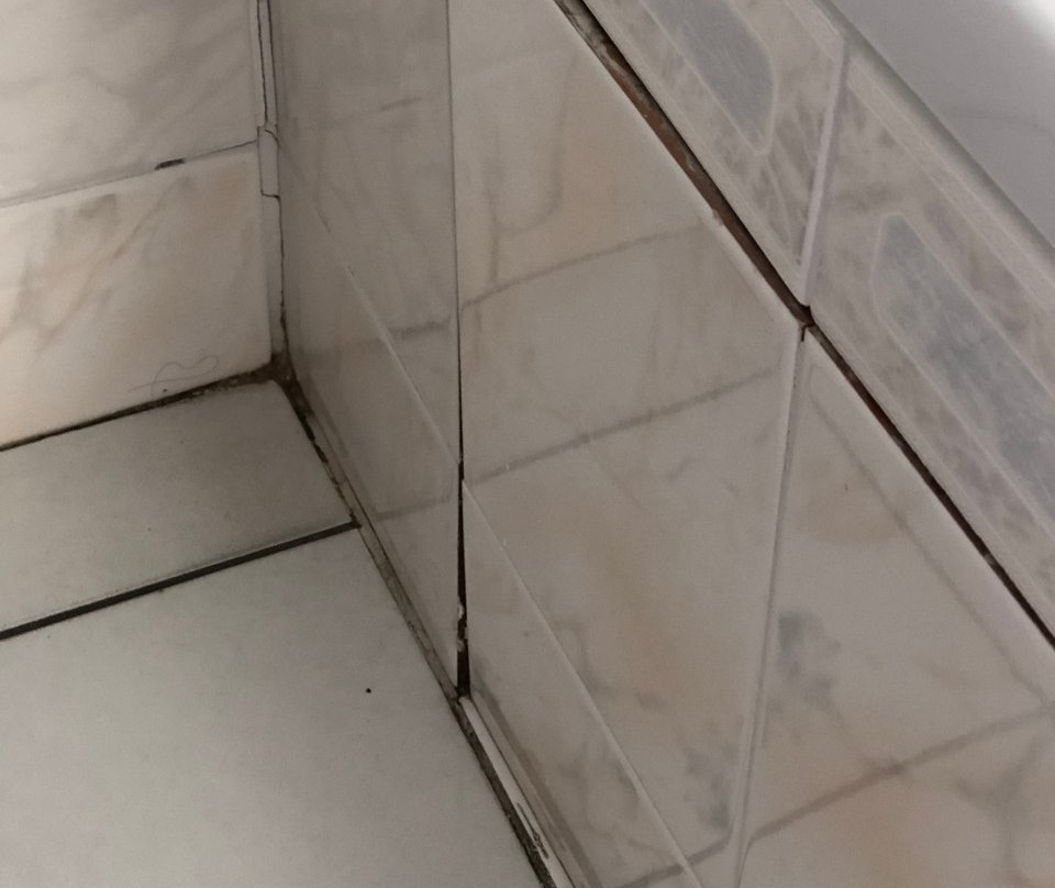 Hotel de la Pointe主图