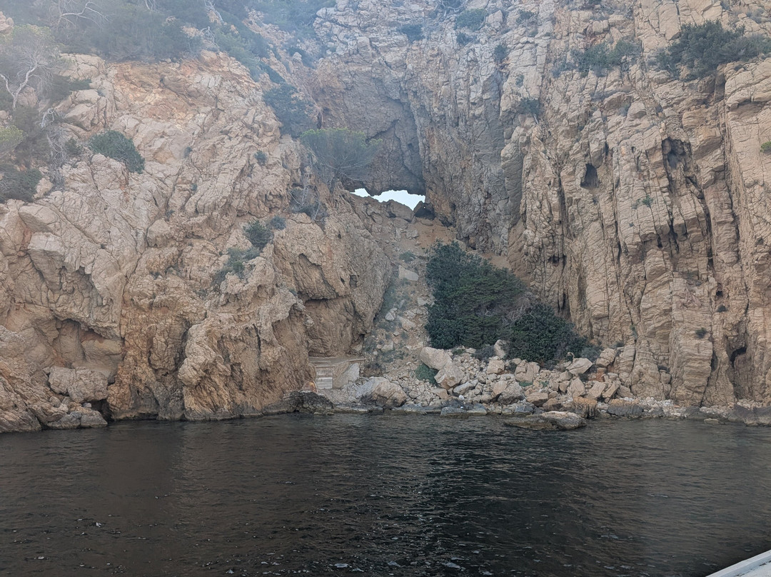 Salvador Ibiza-圣安东尼德波特曼尼必去景点