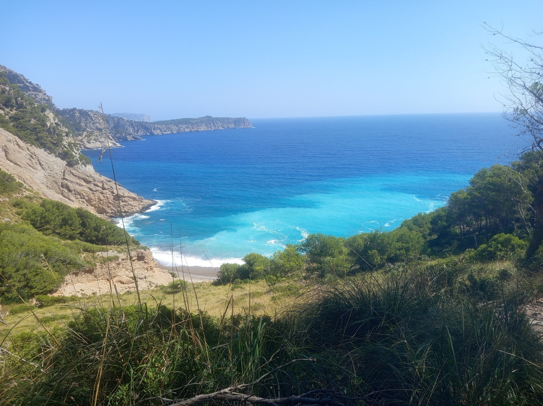 Platja Des Coll Baix-阿库迪亚必去景点
