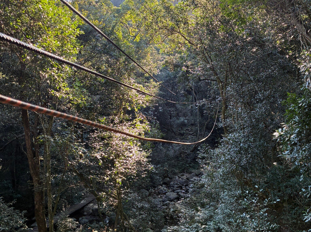 Drakensberg Canopy Tour-Cathkin Park必去景点