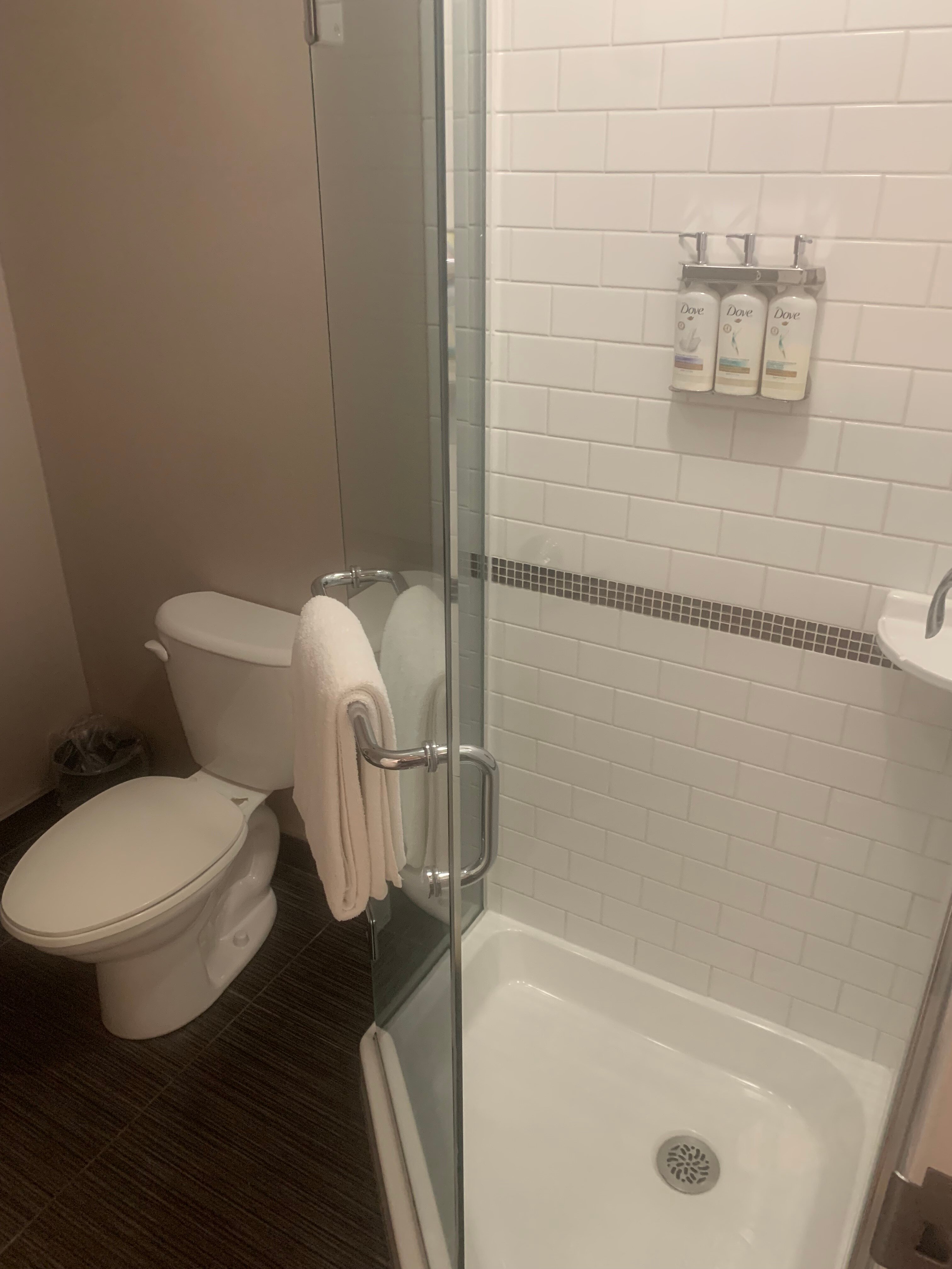 Holiday Inn & Suites St. Catharines Conf Ctr By IHG-浴室