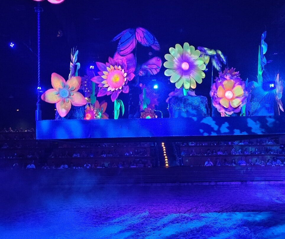 马术歌舞表演餐宴-皮金福奇必去景点