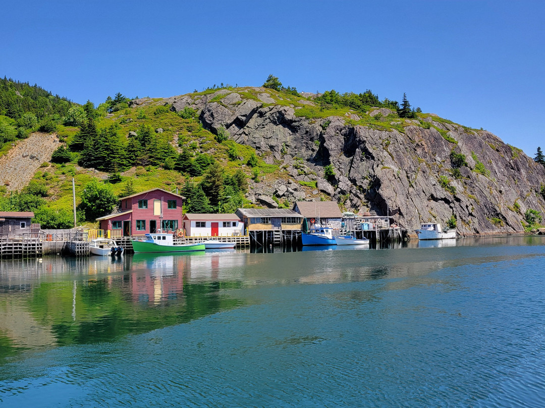 Quidi Vidi-圣约翰必去景点