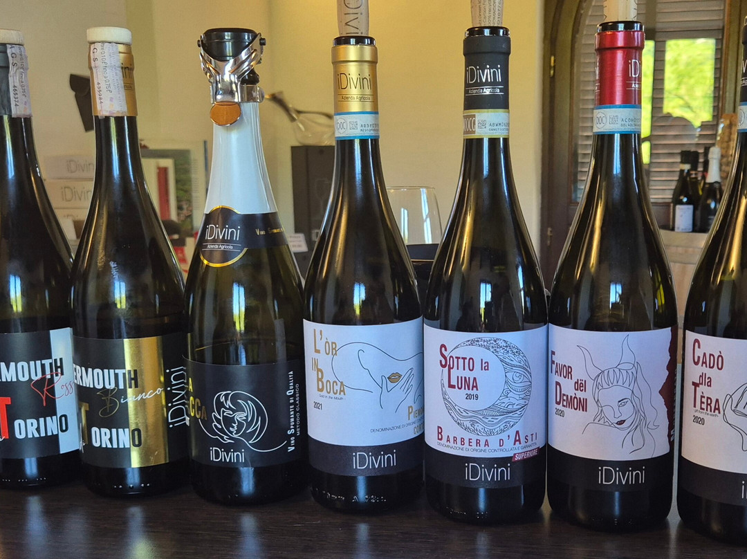 Azienda Vitivinicola Idivini-Isola d'Asti必去景点
