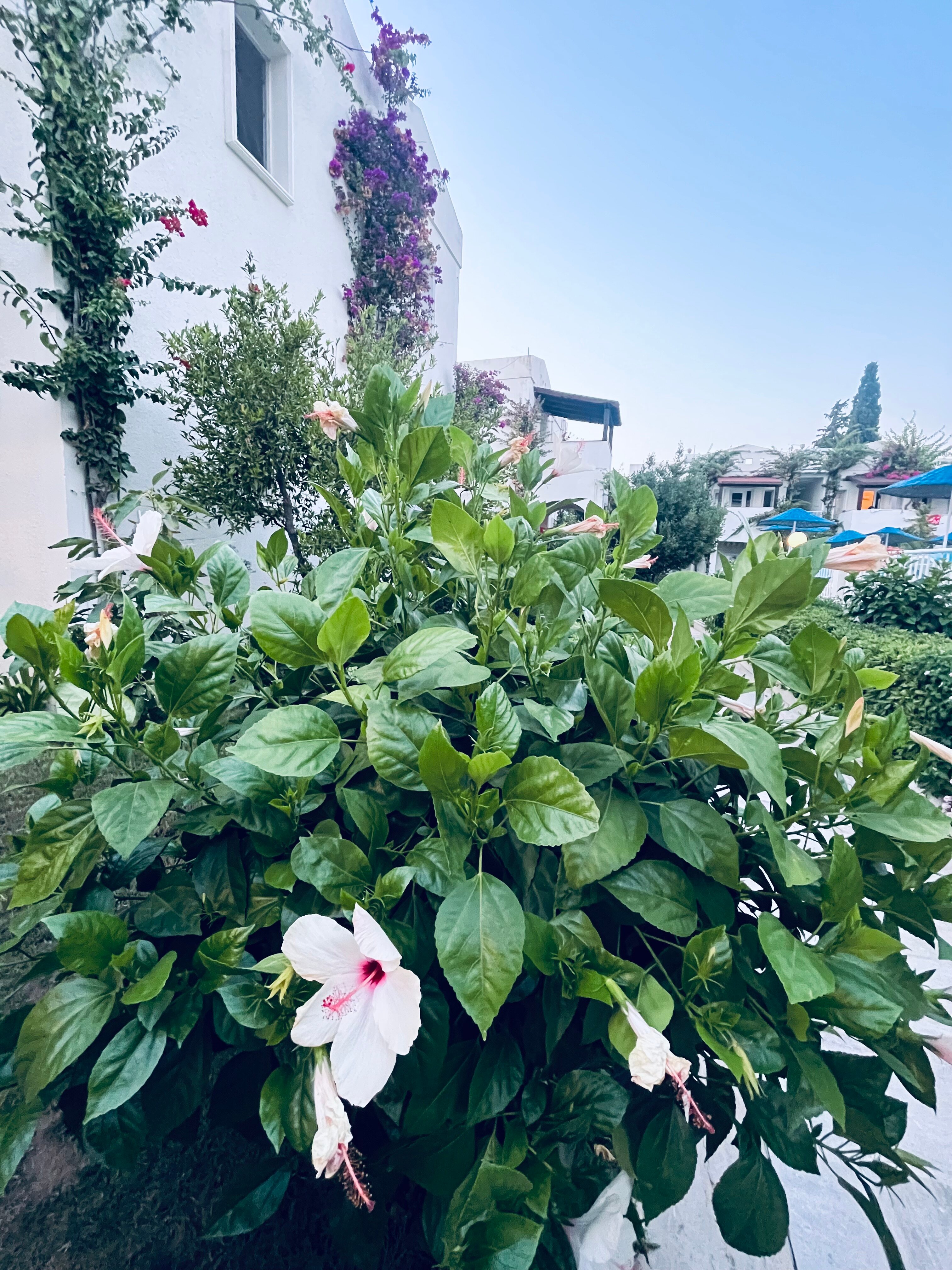 Summer Garden Suites & Beach Hotel-浴室