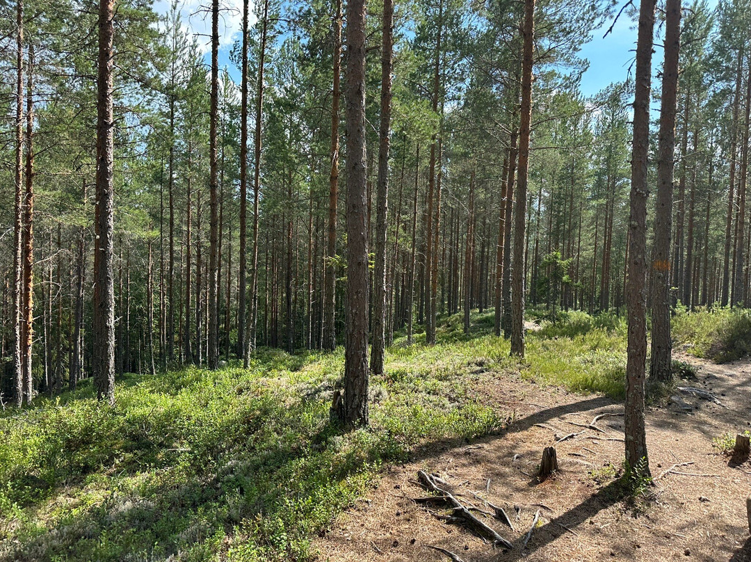 Brattfallet Och Halgåleden-Eksharad必去景点