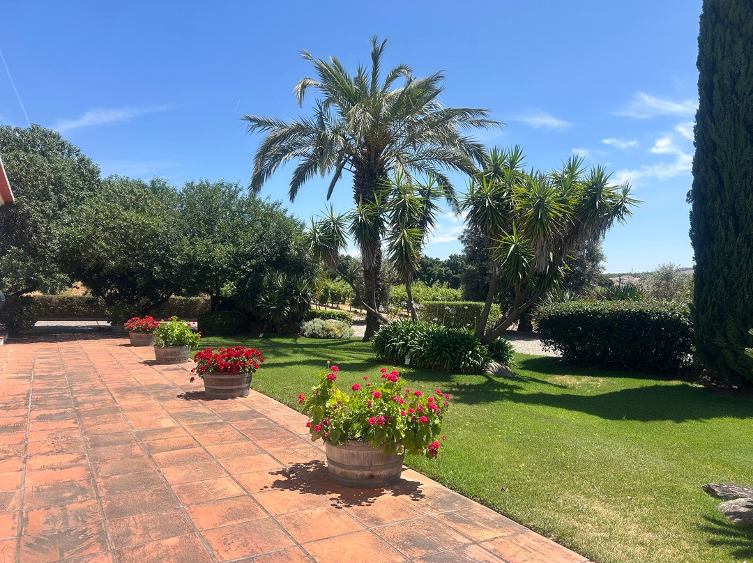 Joao Portugal Ramos Wines-Estremoz必去景点