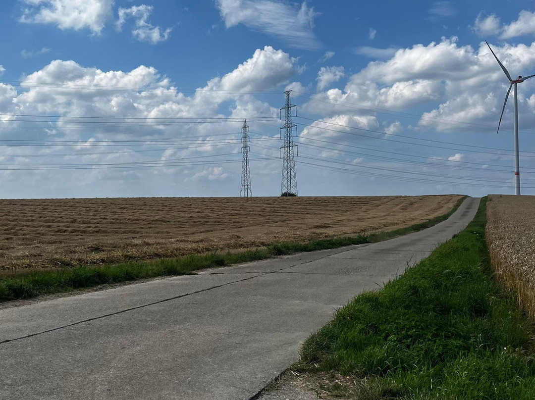 Brut Wines & Tours | Martenslinde-Bilzen必去景点