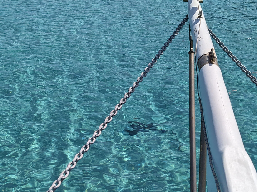 Promenades Du Golfe-维琪奥港必去景点