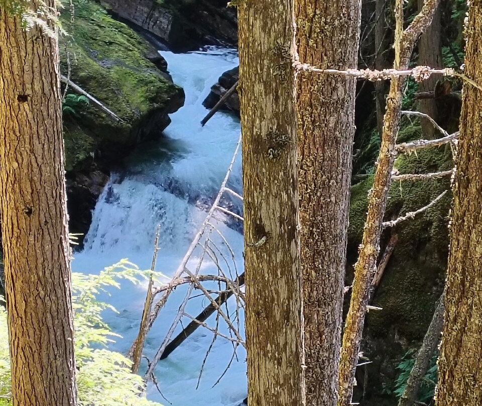 Crazy Creek Suspension Bridge-Malakwa必去景点