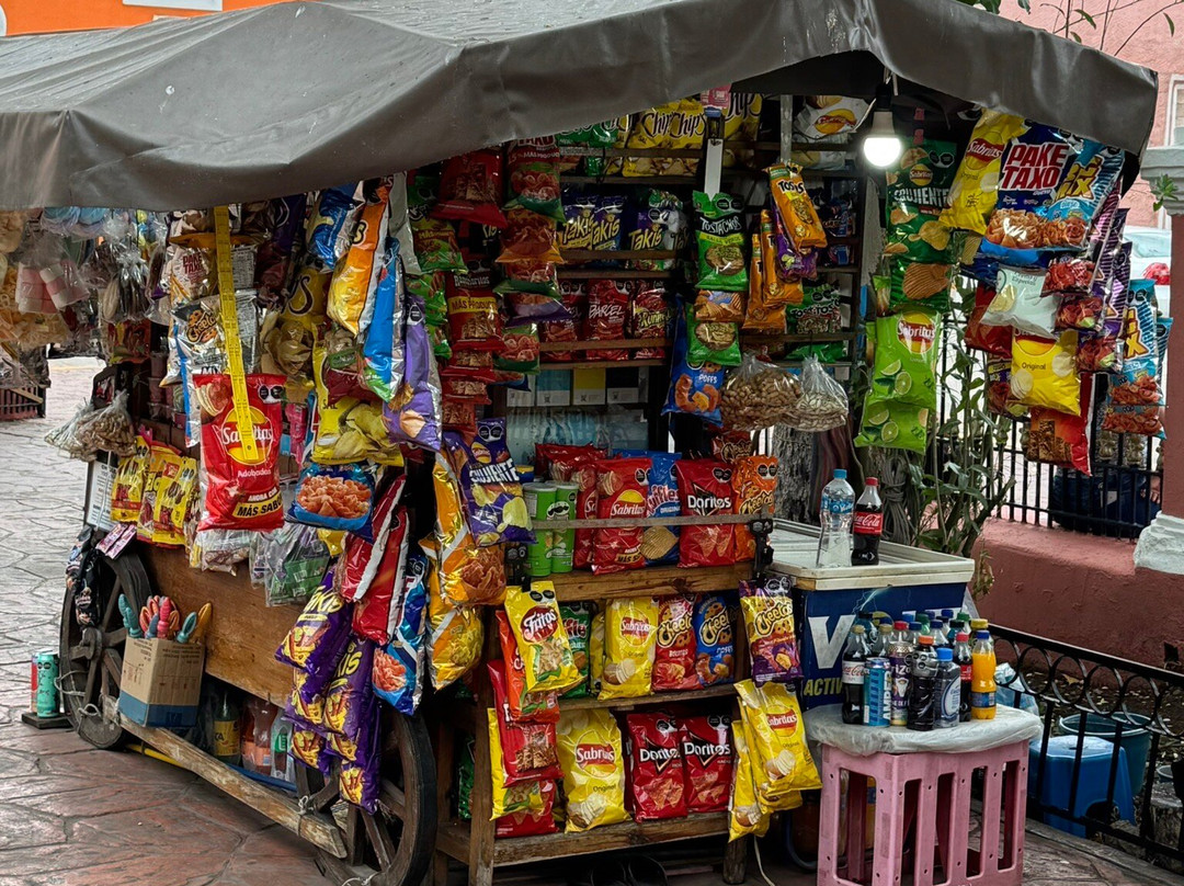 Plaza e Parque Francisco Canton-巴利亚多利德必去景点