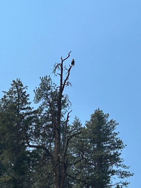 OARS Dories-刘易斯顿必去景点