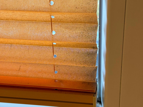 Hotel Der Waldhof主图