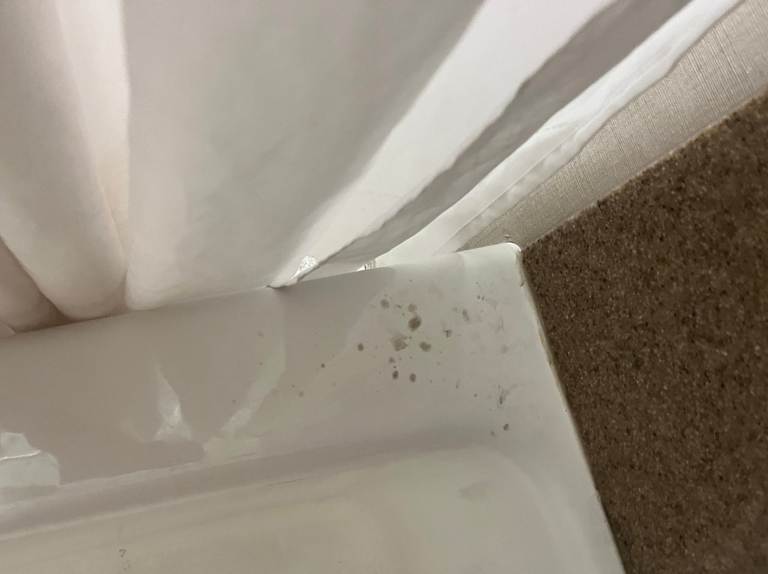 Wingate by Wyndham Columbia主图