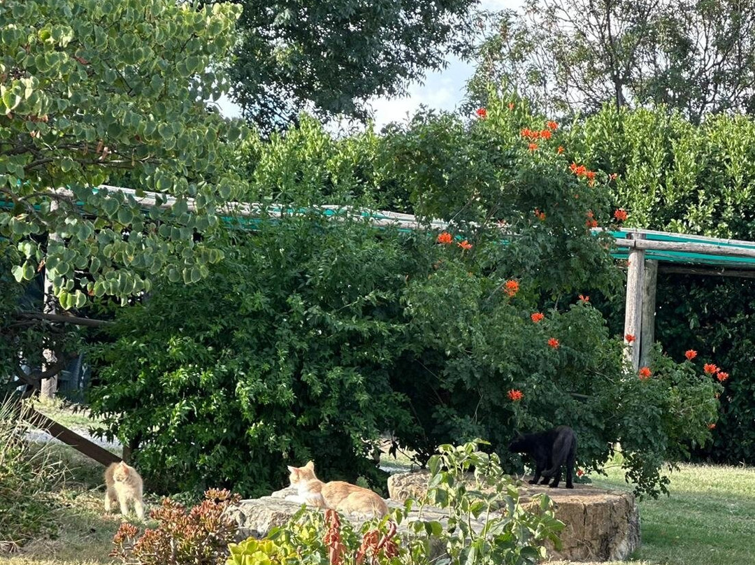 Agriturismo Poggio Mario主图