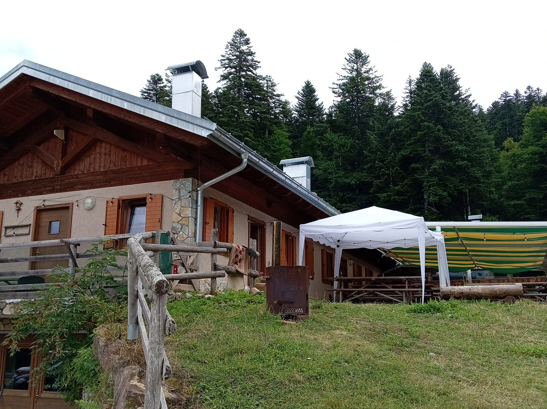 Malga Val Dei Brenzi-Fai della Paganella必去景点