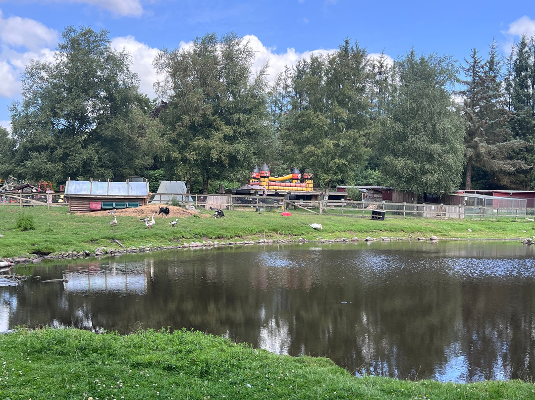 Nordisk Dyrepark-霍布罗必去景点