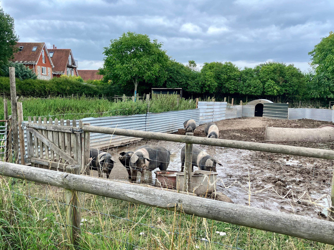 Bluestone Vineyards-索尔兹伯里必去景点