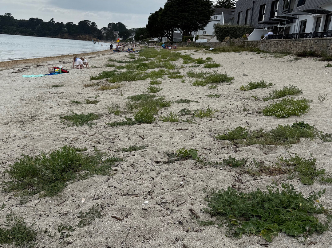 La Plage du Cap Coz-Fouesnant必去景点