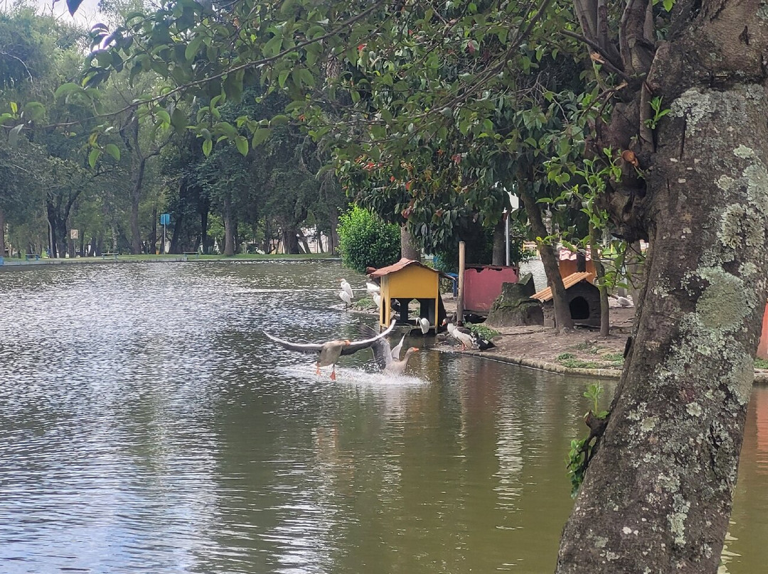 Parque Recreacional Jipiro-Loja必去景点