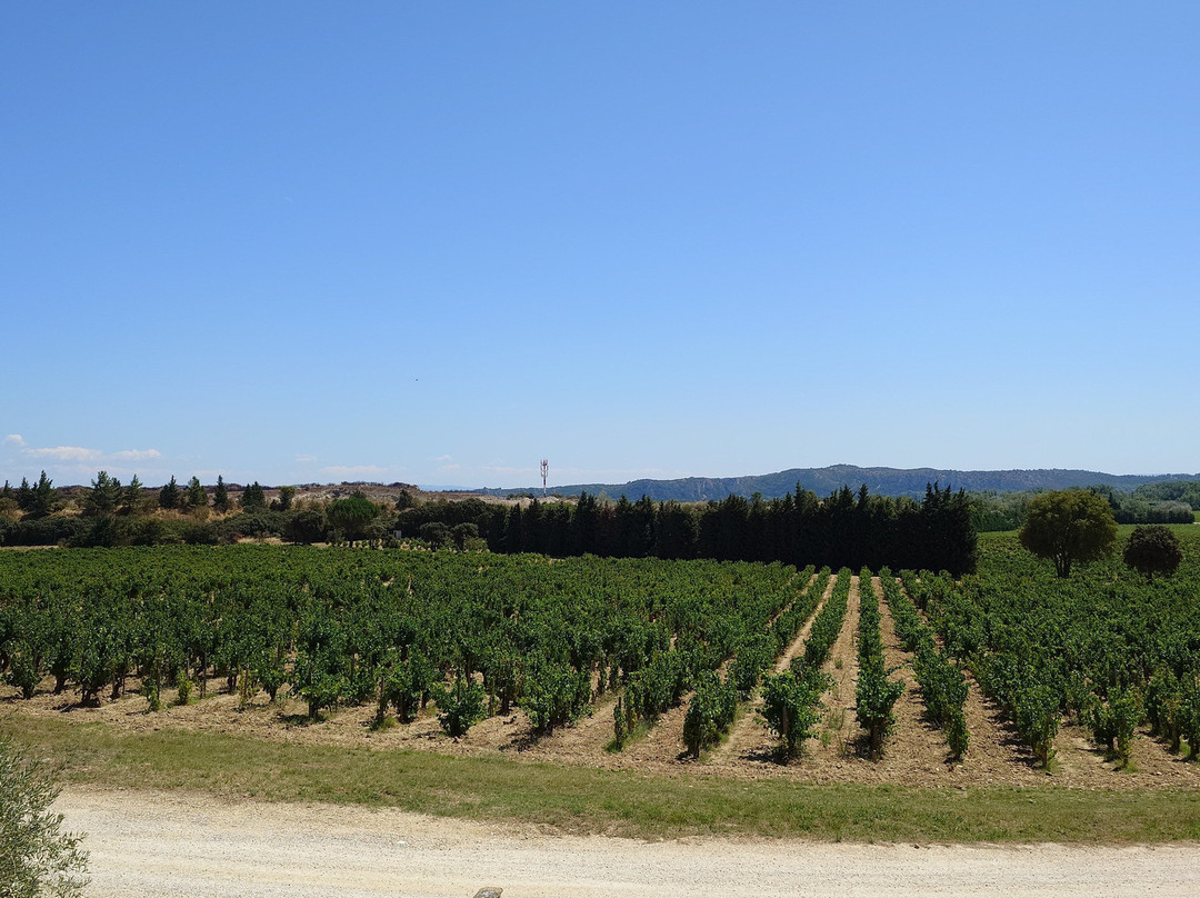 Chateau d'Aqueria-Tavel必去景点