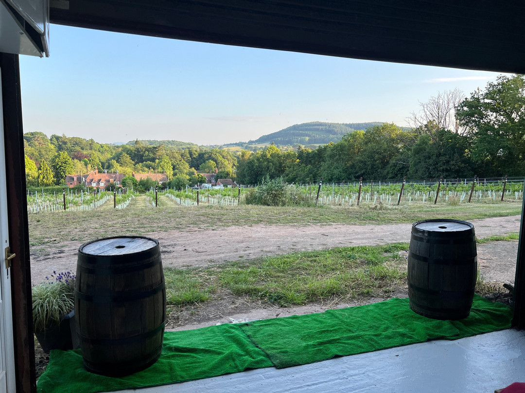 Abberley Hills Vineyard