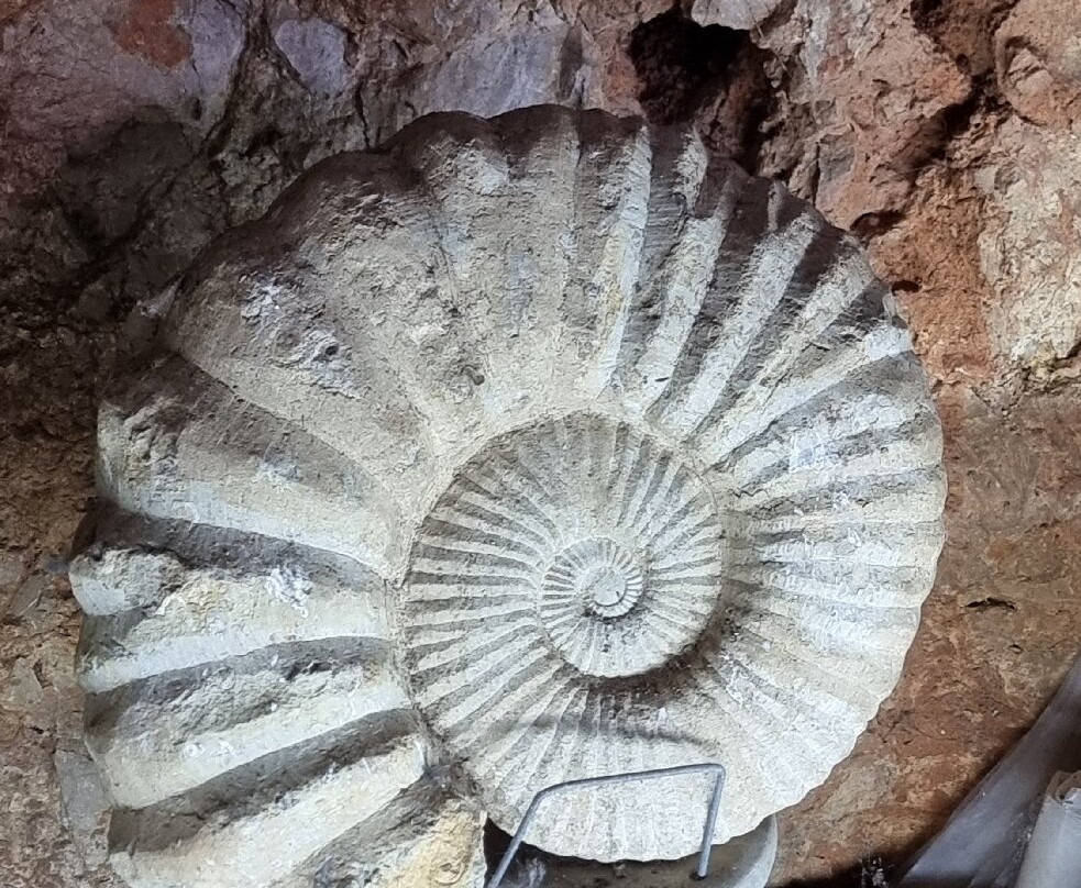 Prehistoric Cave Cueva de las Calaveras-Benidoleig必去景点