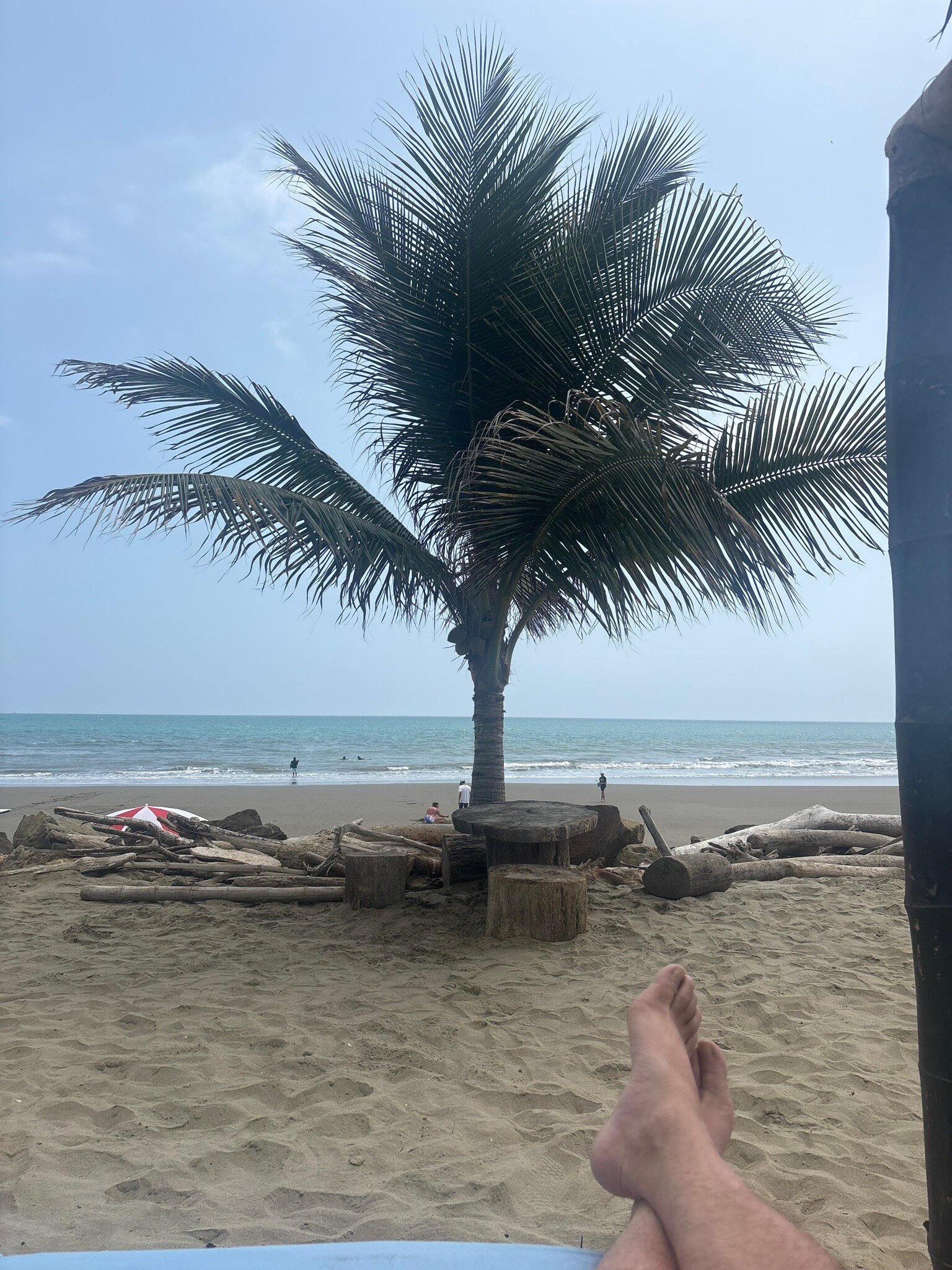 The Sea by Palmazul-官方