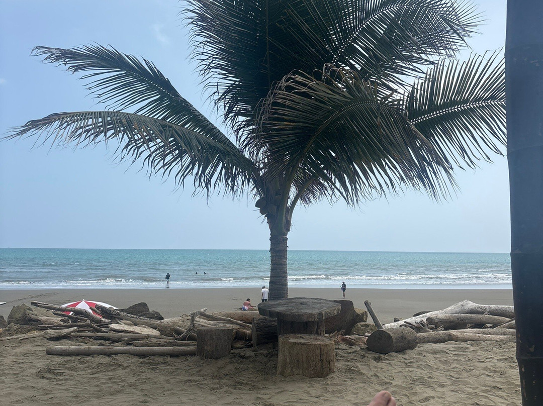 The Sea by Palmazul主图