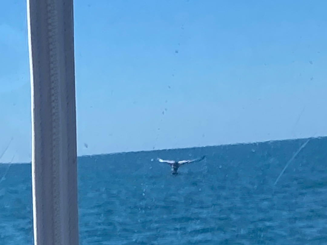 Aquascene Magnetic Island-Magnetic Island必去景点