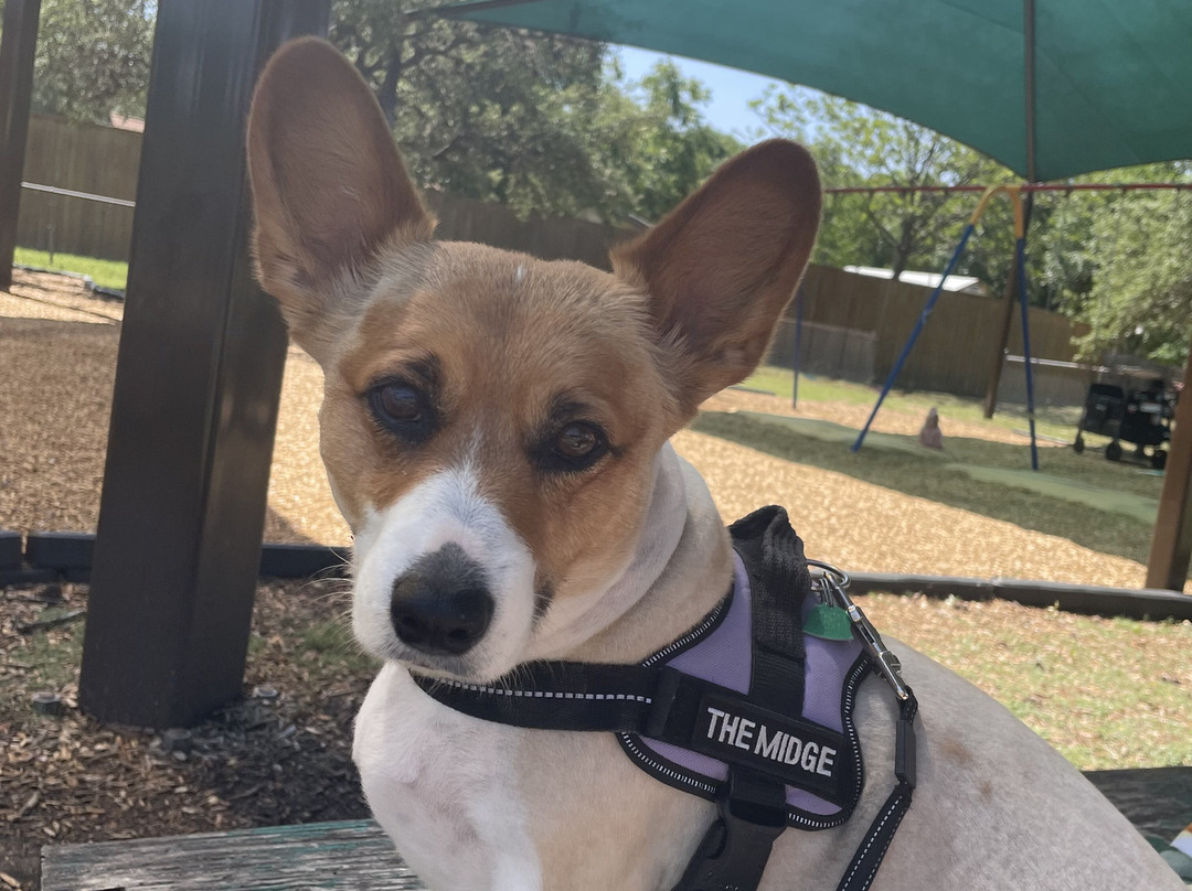 Cobblestone Hotel and Suites - Torrington主图