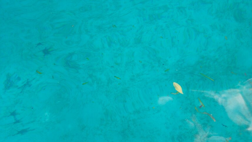 Liang Beach-安汶必去景点