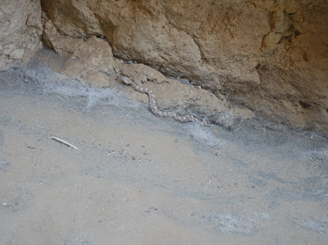 Namib-Naukluft National Park-赛斯瑞必去景点