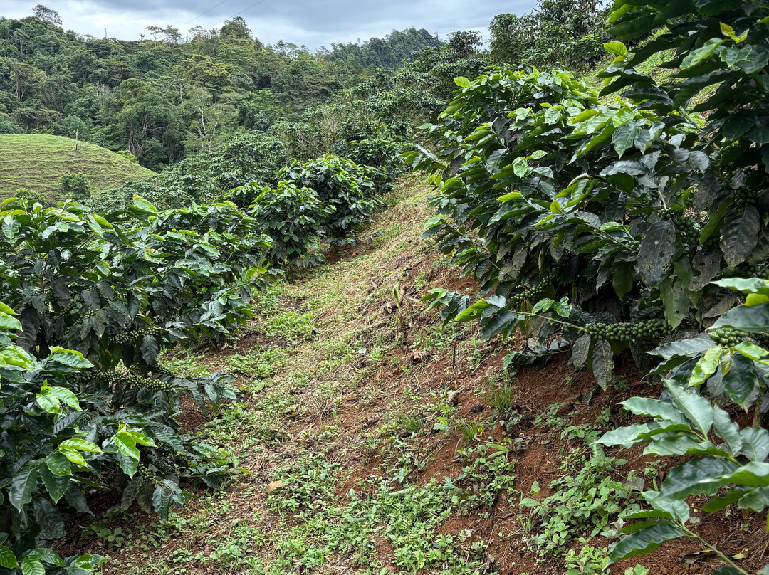 Costa Rica Explorer-主日镇必去景点