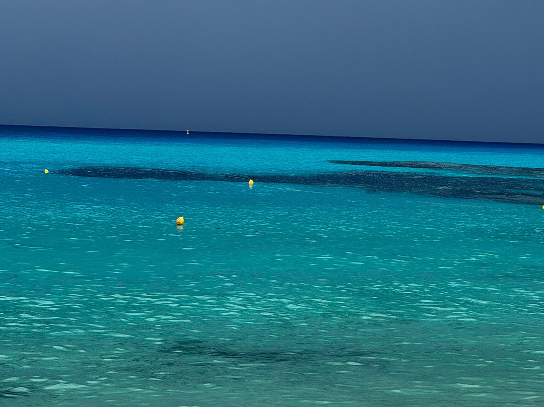 Grotticelle Beach-Capo Vaticano必去景点