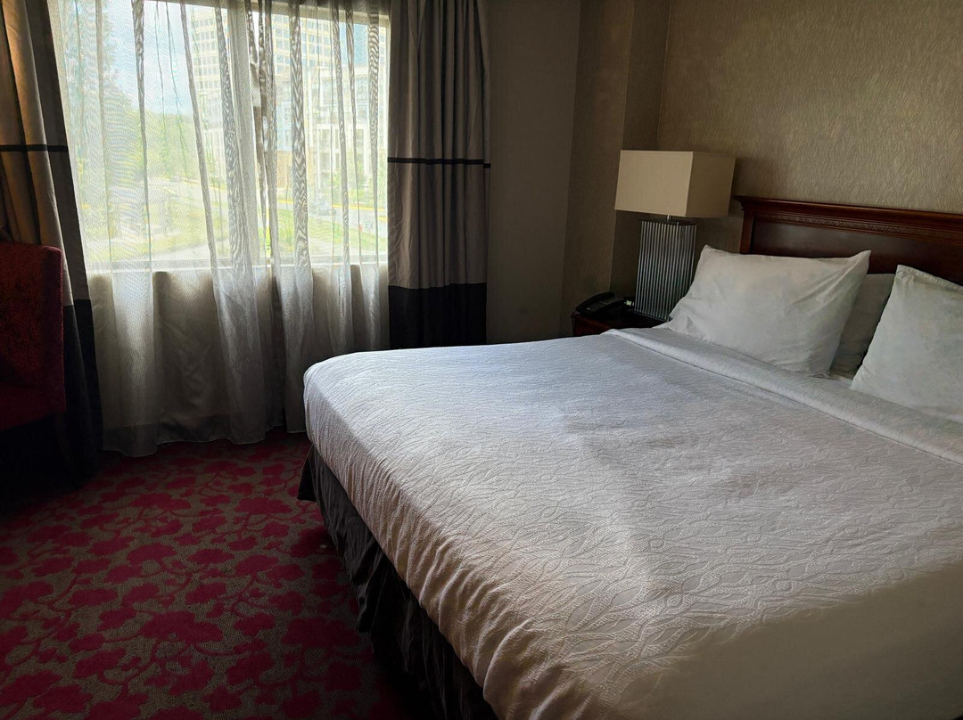 Embassy Suites by Hilton Dulles Airport主图