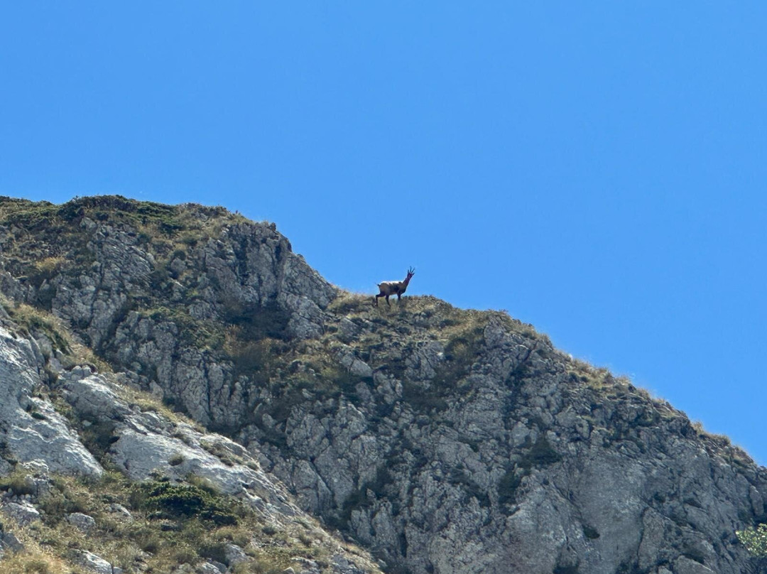 Abruzzo Wild-拉奎拉必去景点