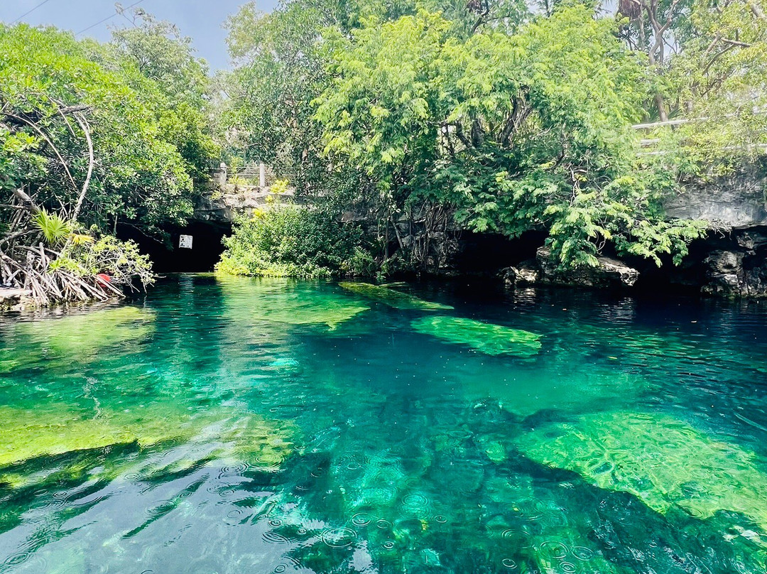 Cenote Cristalino-普拉亚德尔卡曼必去景点