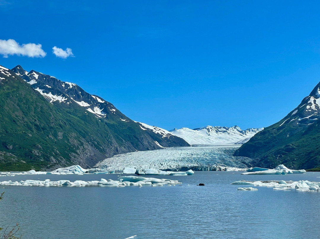 Chugach Adventures-戈德伍德必去景点