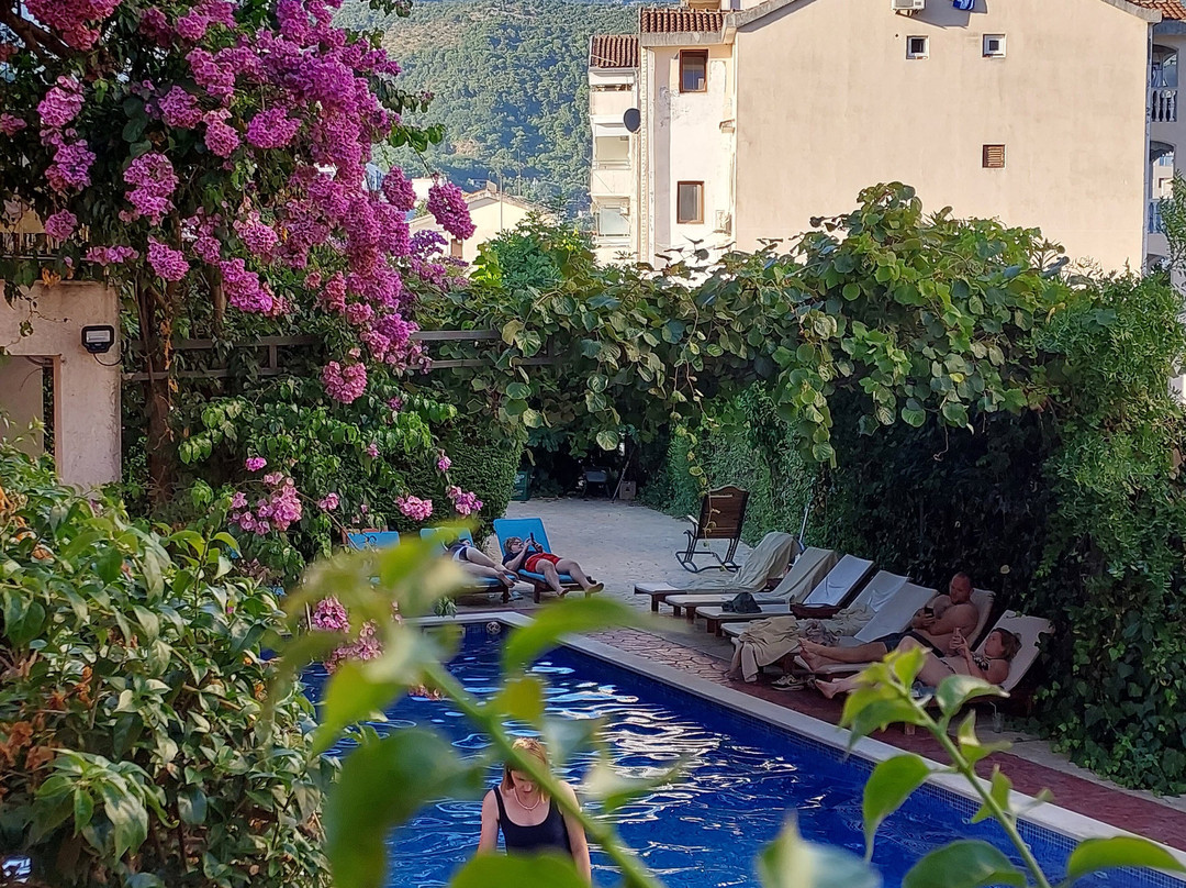 Hotel Villa Bojana主图