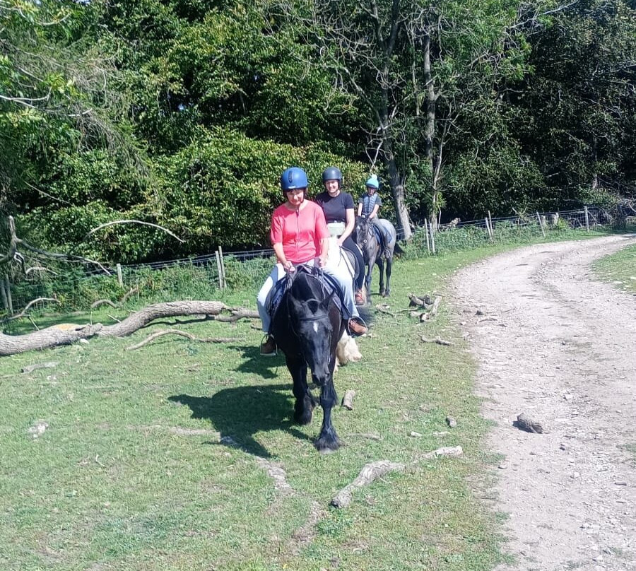 Bilsdale Riding Centre-Hawnby必去景点