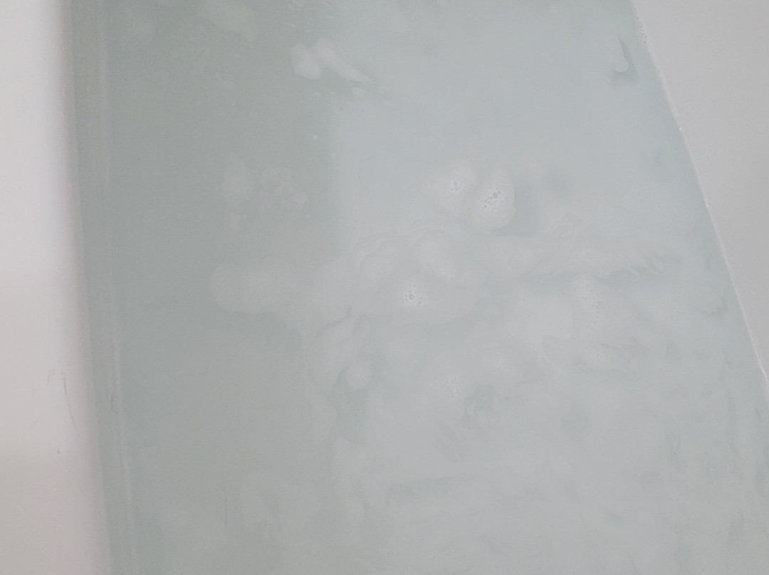 Best Western Plus University Inn主图