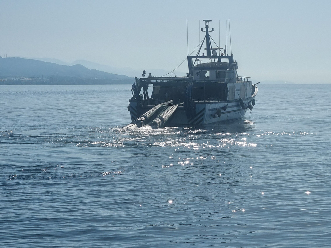 Catamaran Zostera-维雷斯马拉加必去景点