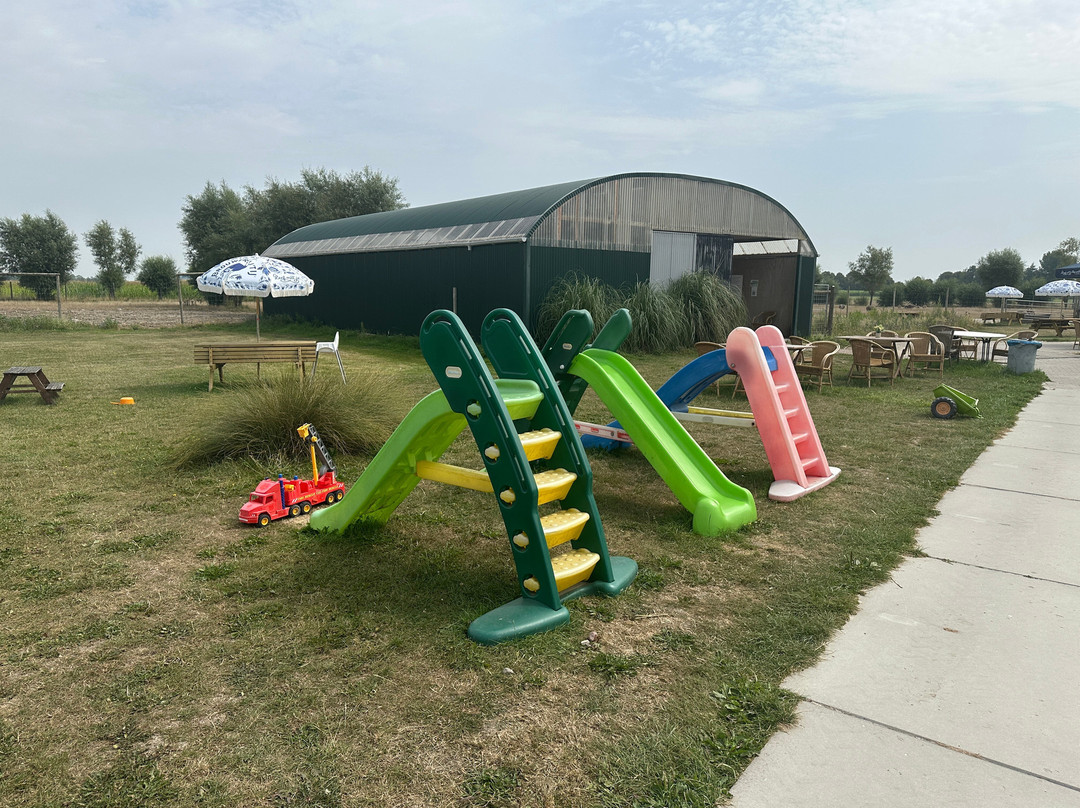 Struisvogelboerderij Monnikenwerve-斯勒伊斯必去景点