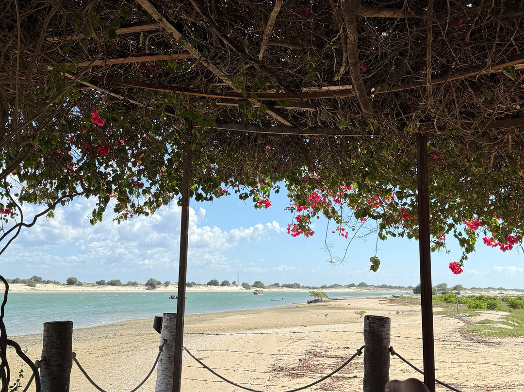 Pousada Peixe Galo主图