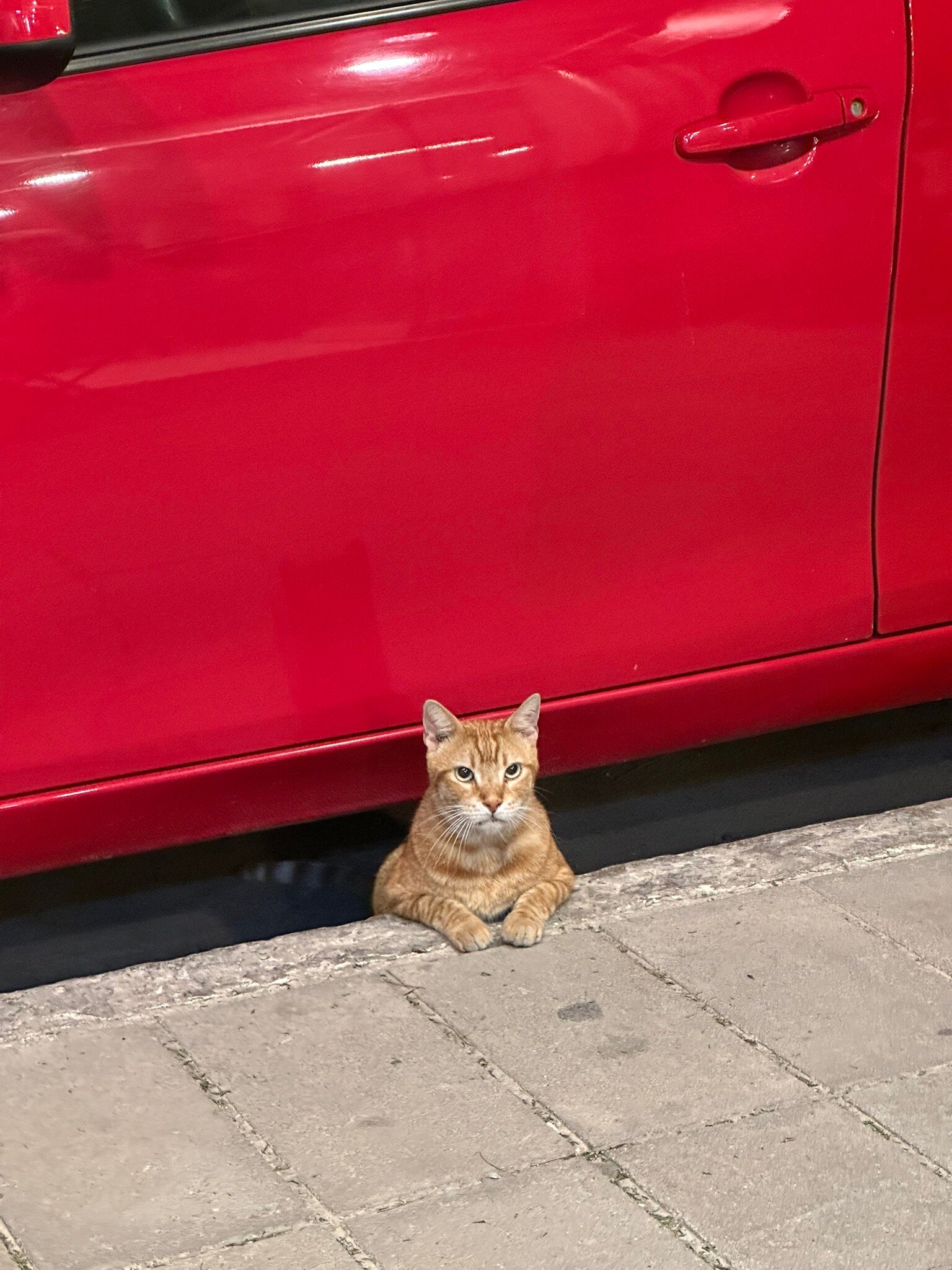 奥图庄园旅馆-官方