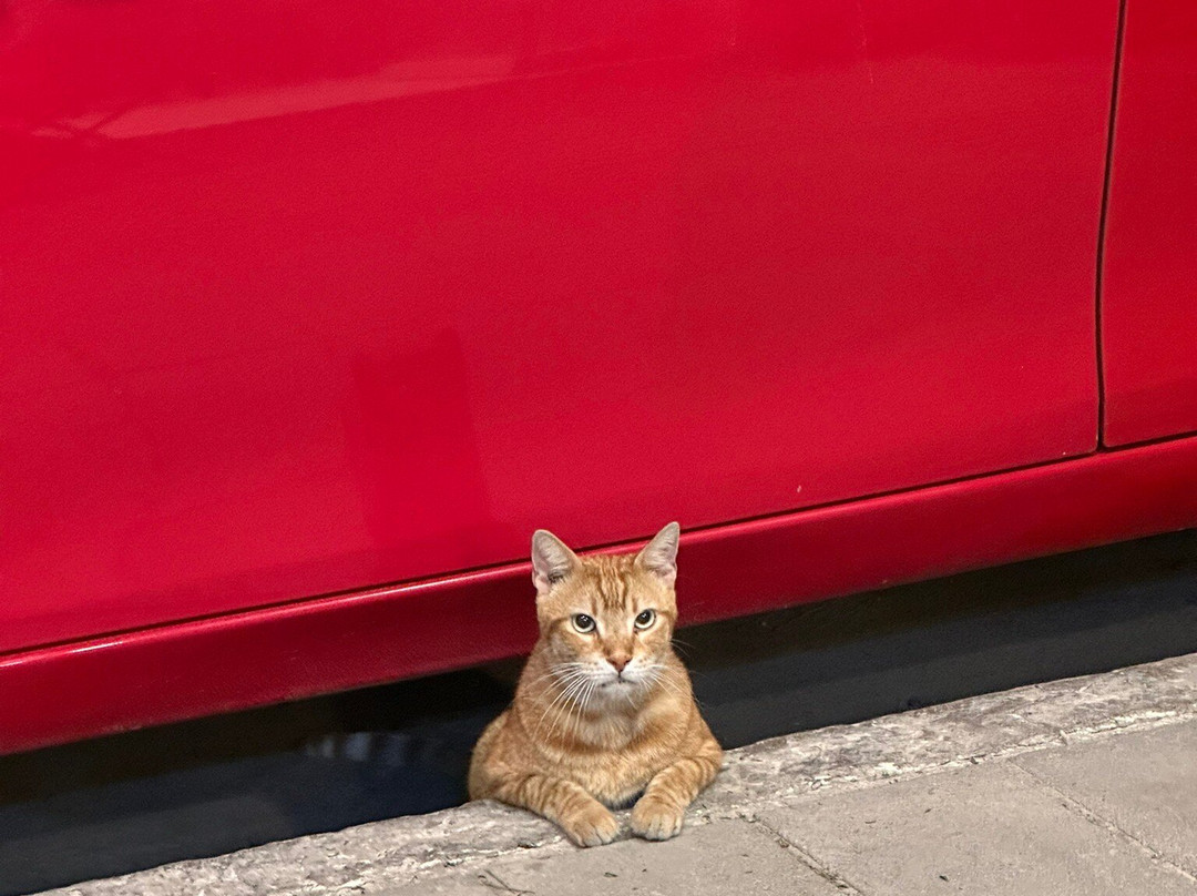 奥图庄园旅馆主图