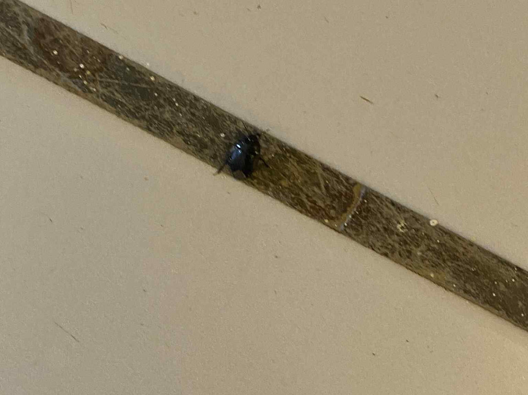 Erytha Hotel & Resort Chios主图