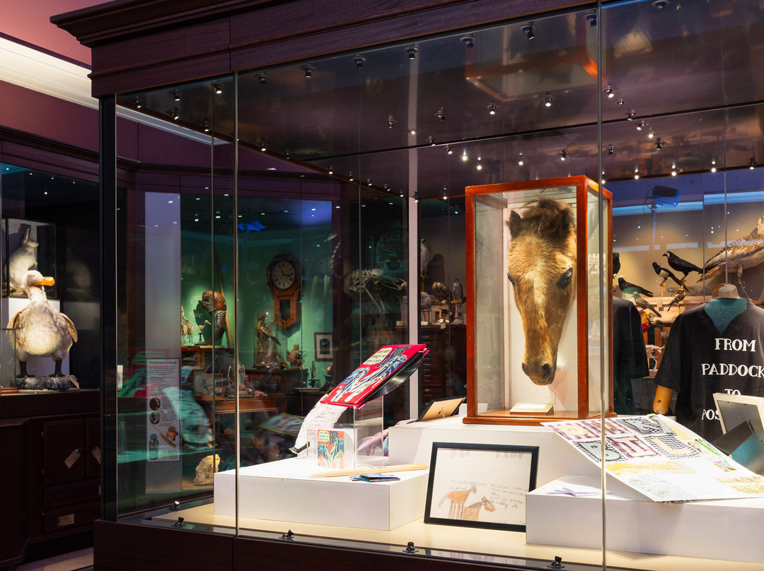 Warrington Museum & Art Gallery-沃灵顿必去景点