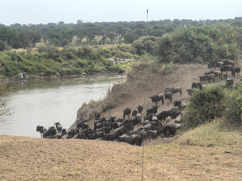 FOLLOW AFRICAN SAFARIS-阿鲁沙必去景点